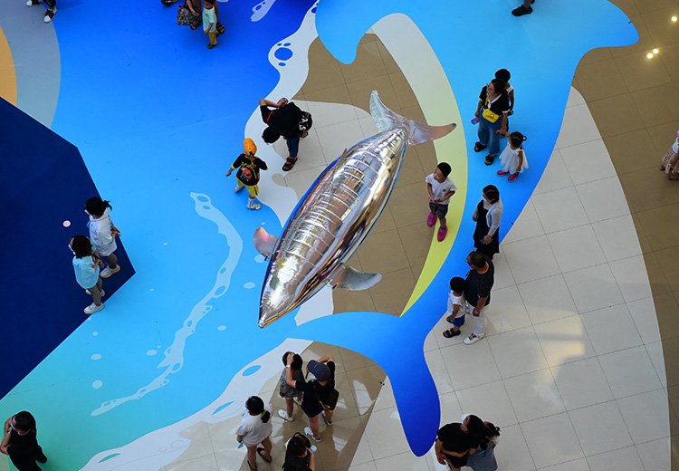 空飘气模——海豚系列