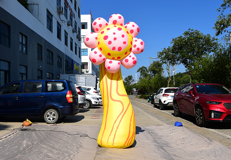 主题气模——奇异花朵系列