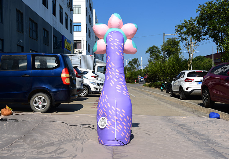 主题气模——奇异花朵系列