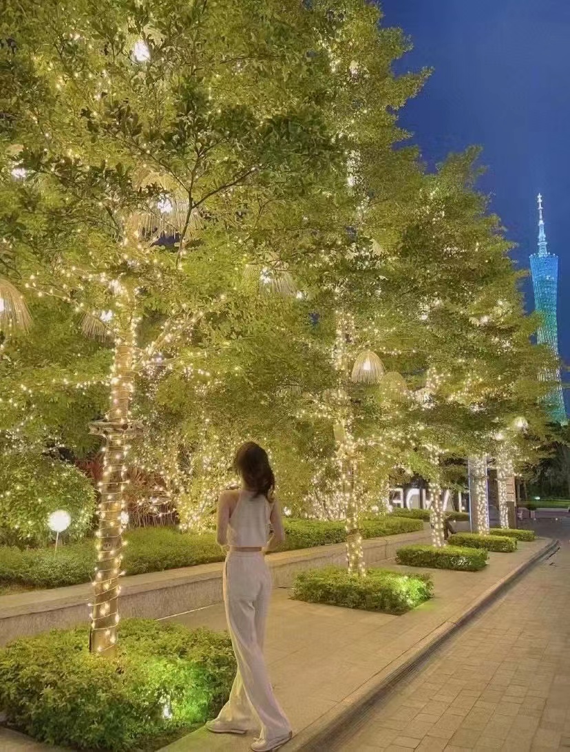 树木亮化城市亮化售楼处包装商场景观亮化支持全国业务