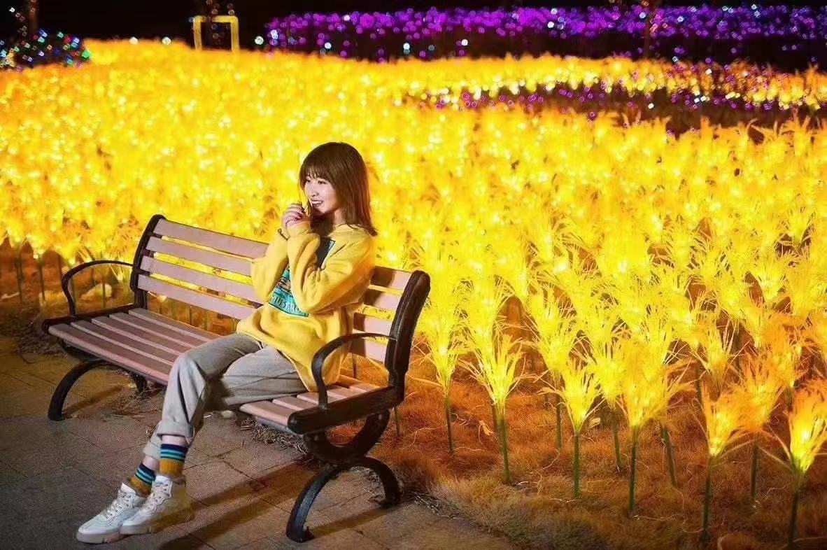 梦幻灯光节售楼处包装景区引流