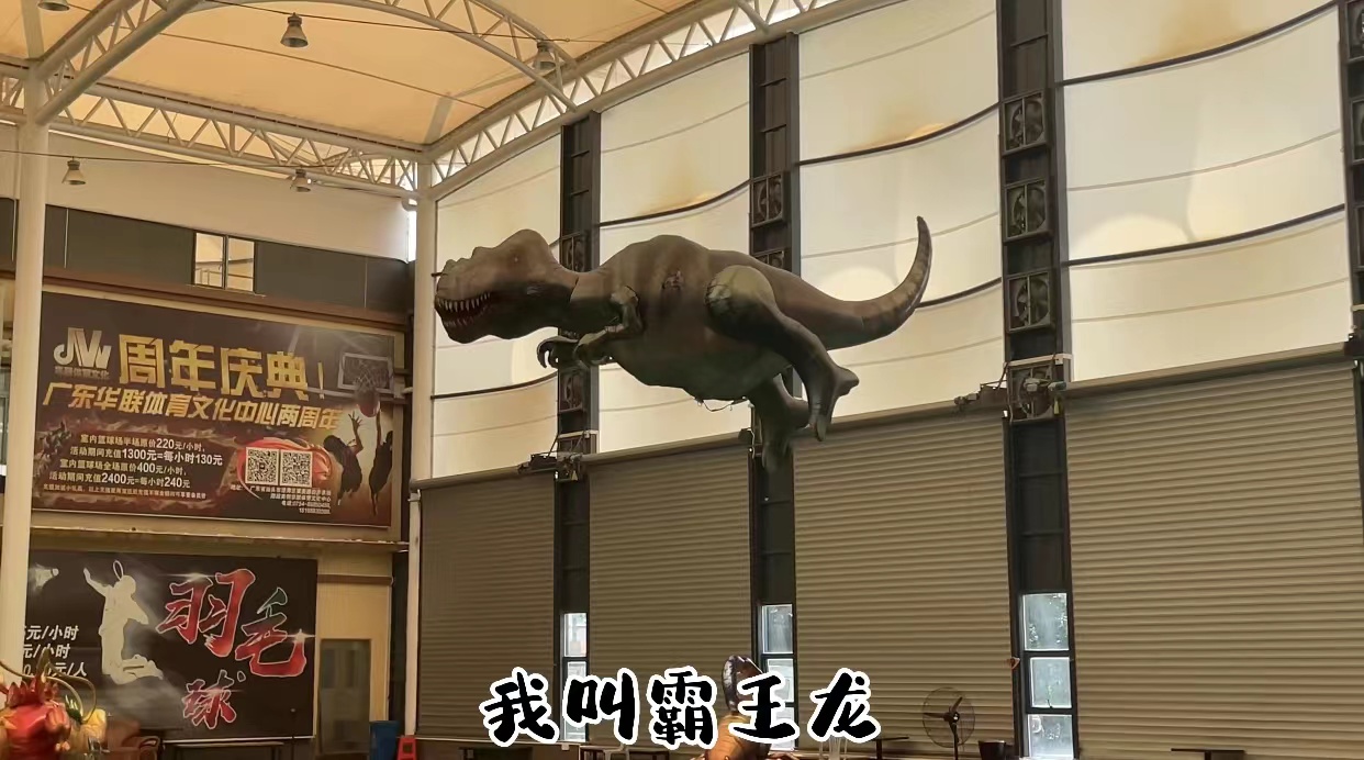 中国龙航模、恐龙航模