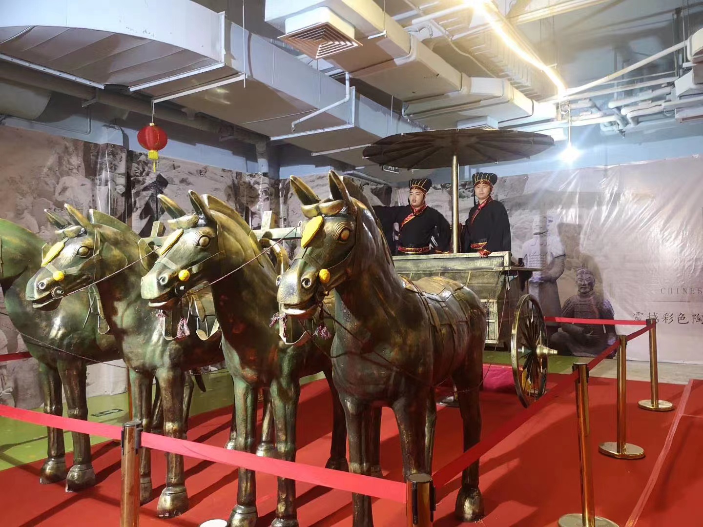 兵马俑展 科普展 非遗文化 文物展