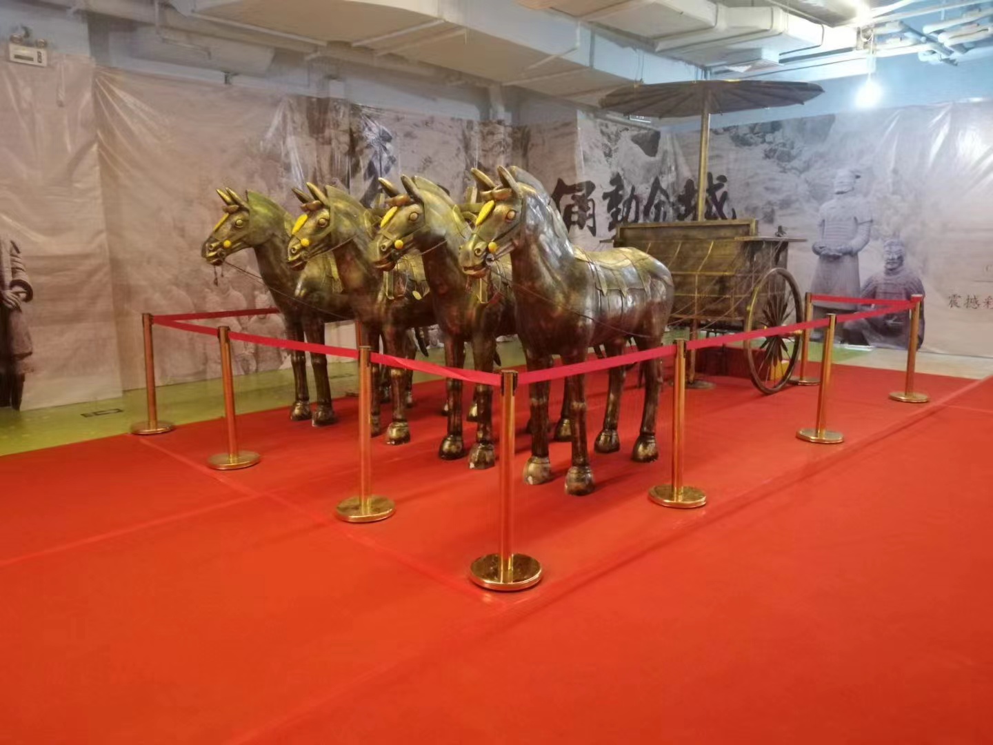 兵马俑展 科普展 非遗文化 文物展