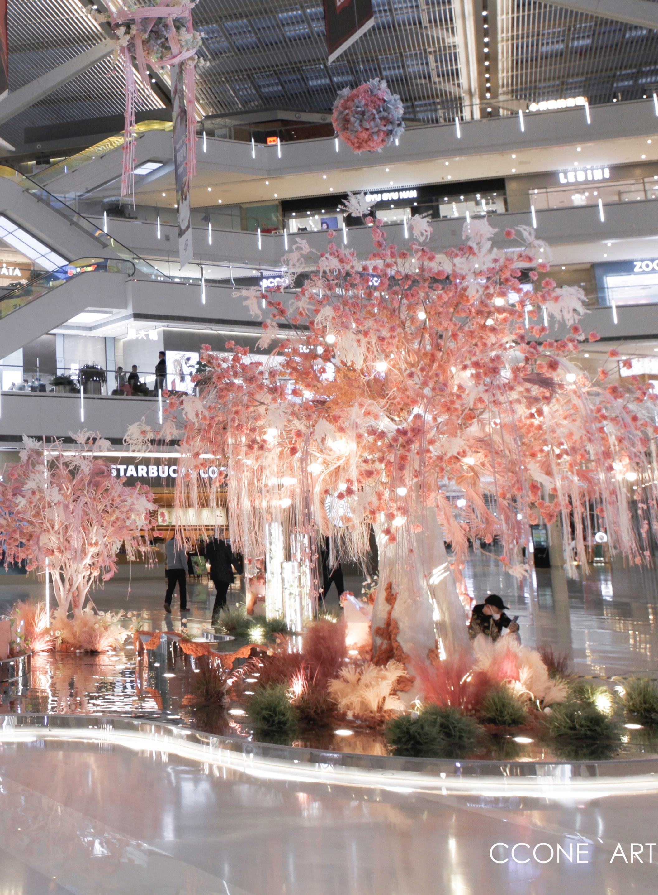 光影樱花