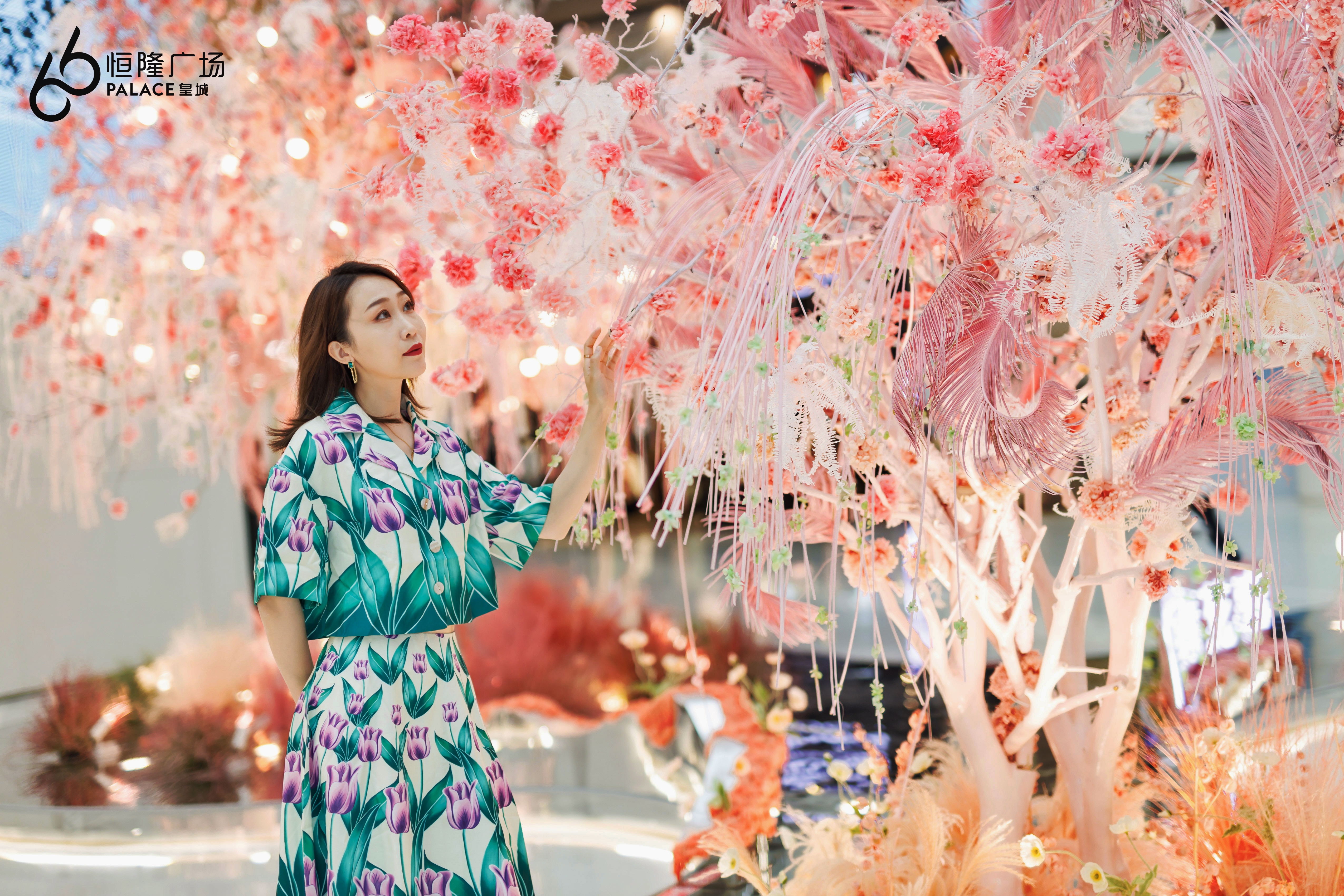 光影樱花