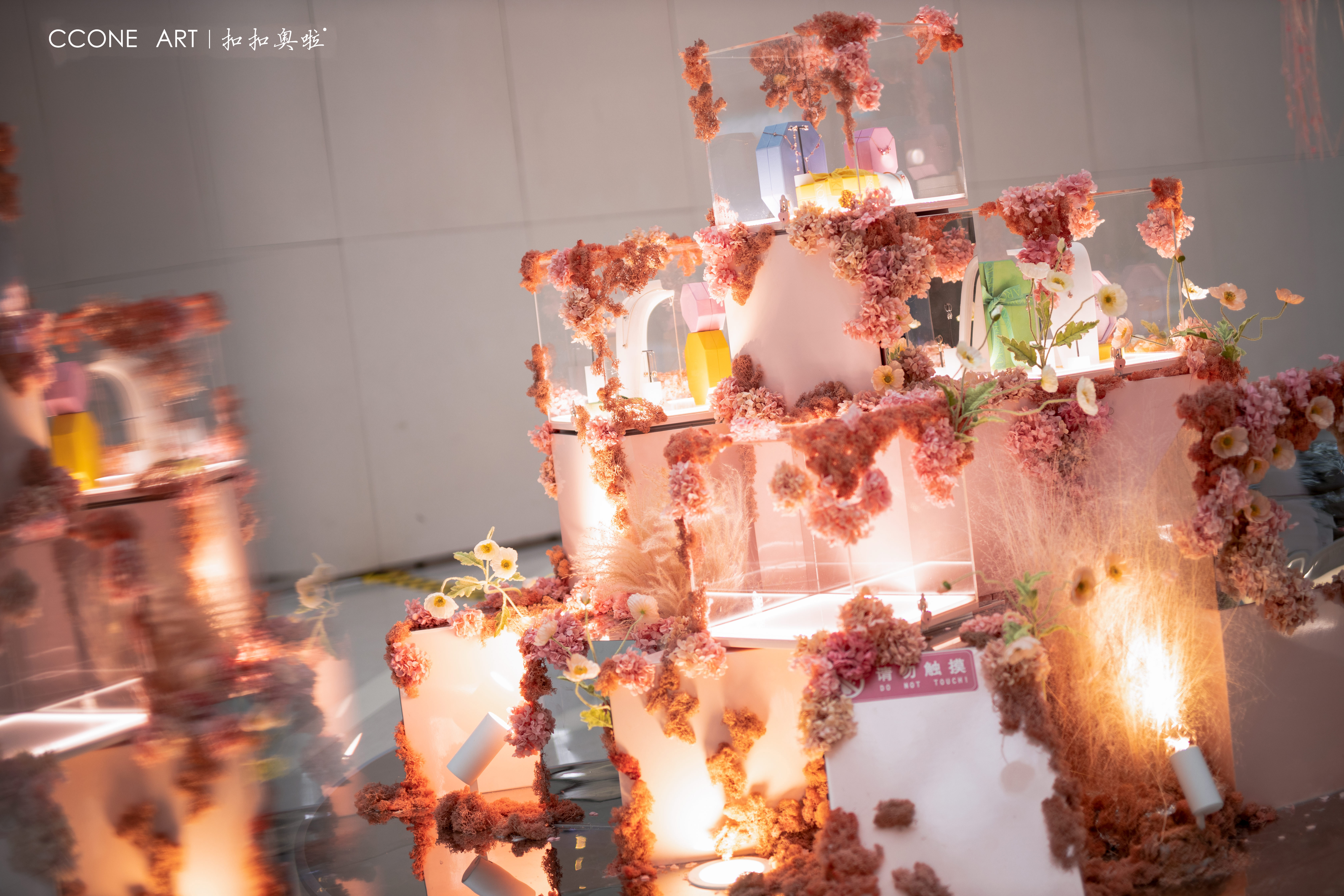 光影樱花