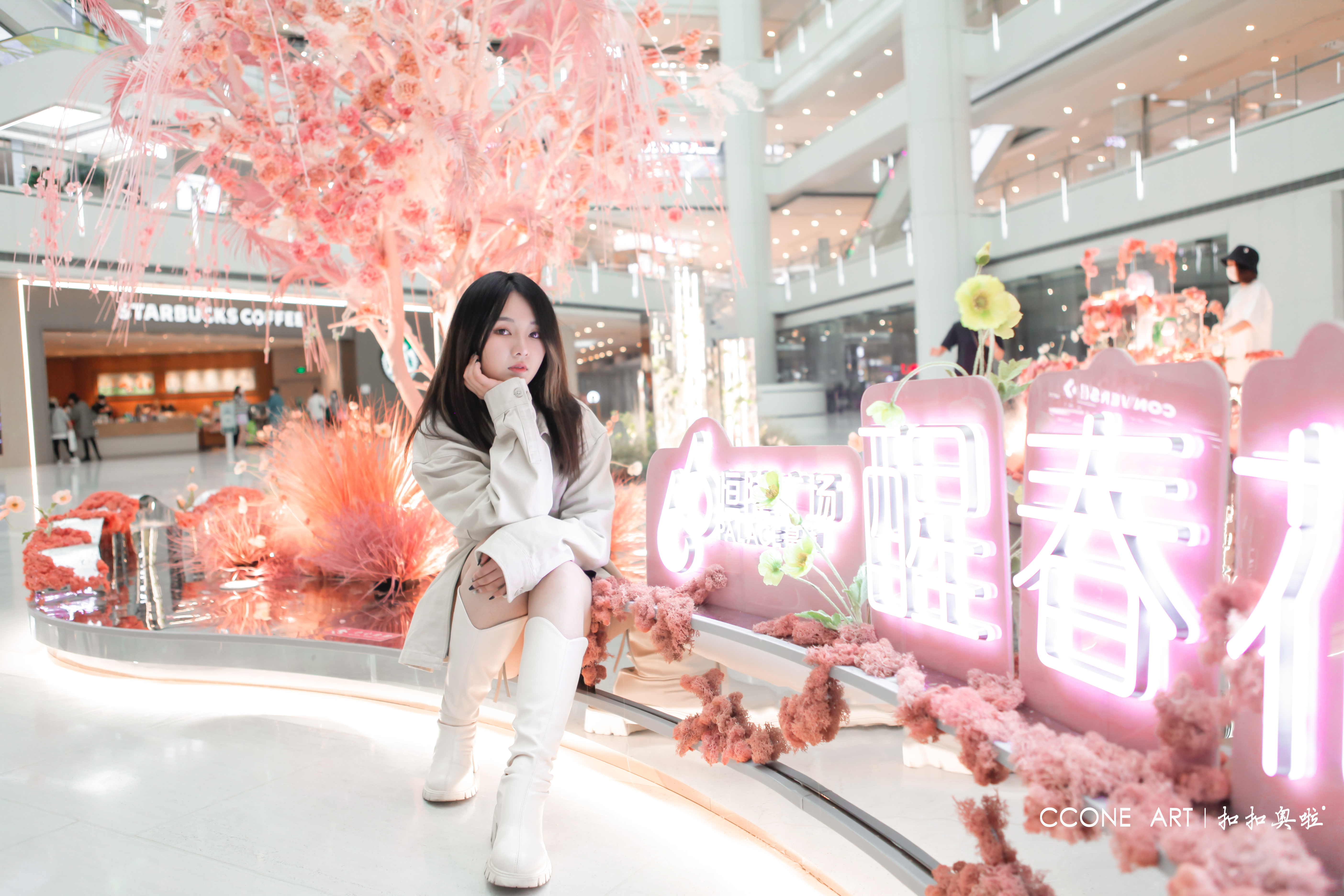 光影樱花
