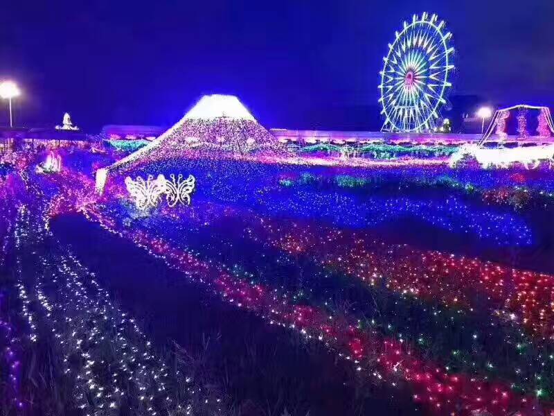 大型灯光节工程 灯光展造型租赁出售 花灯制作 工程亮化