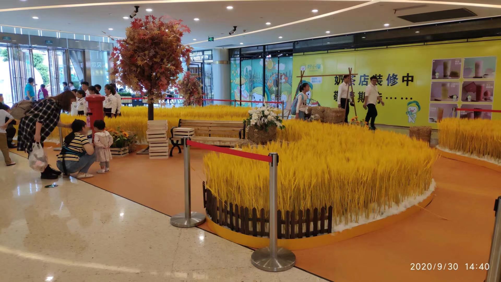 重庆美陈DP点来图定制