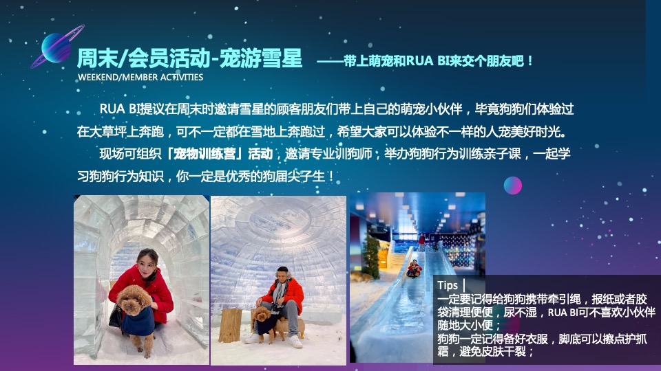 可见一斑——雪星兔主题展｜冬季主题乐园