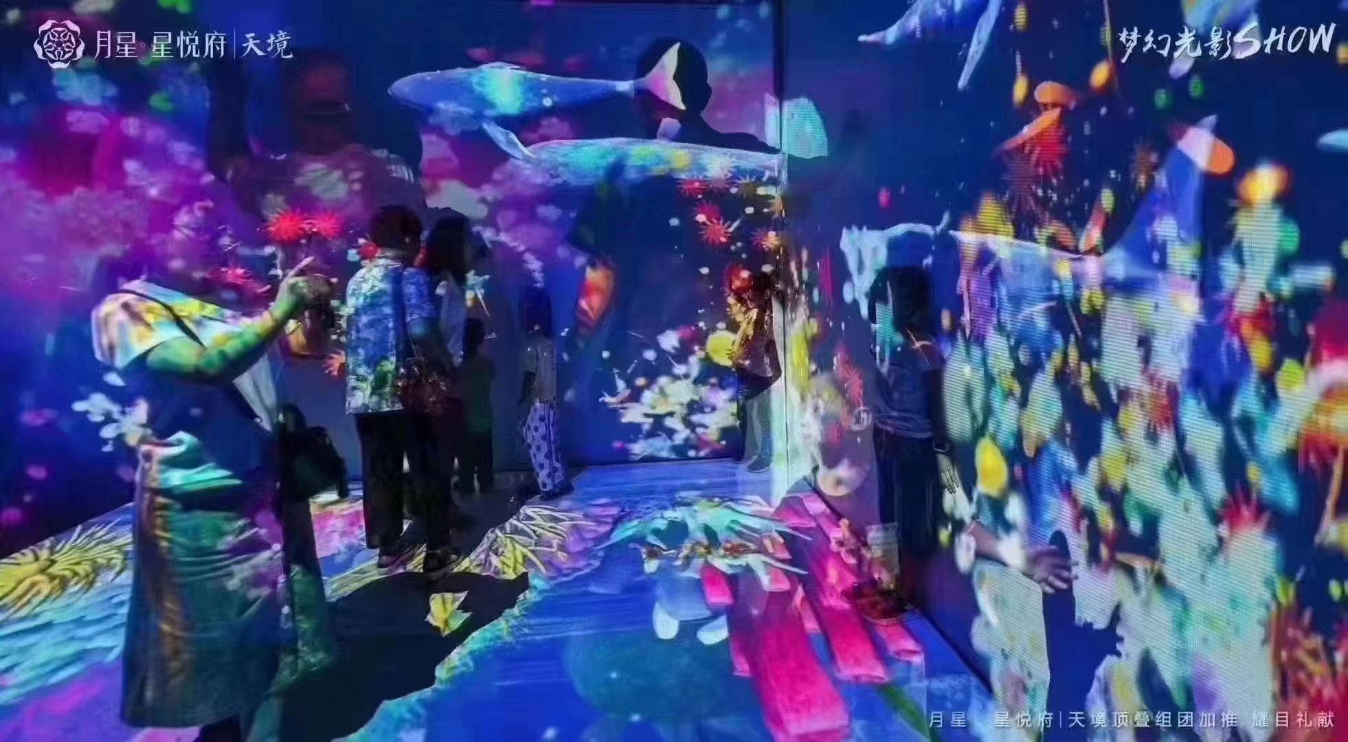 光影展网红星空馆