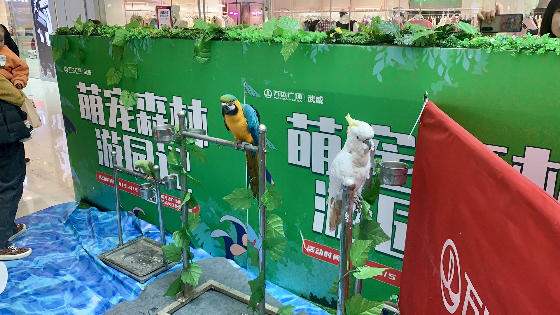 甘肃美道壹佰——萌宠展览