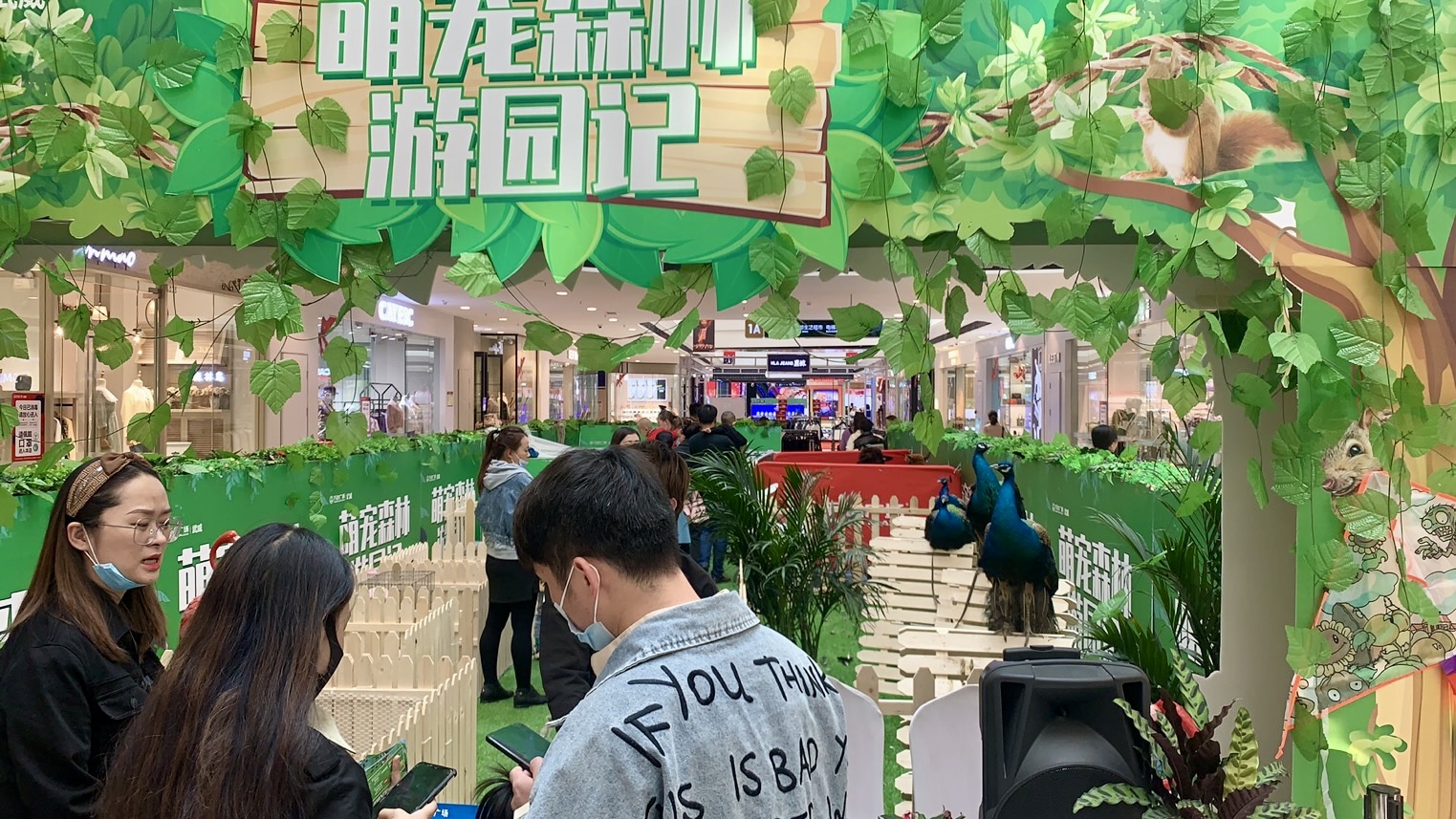 甘肃美道壹佰——萌宠展览