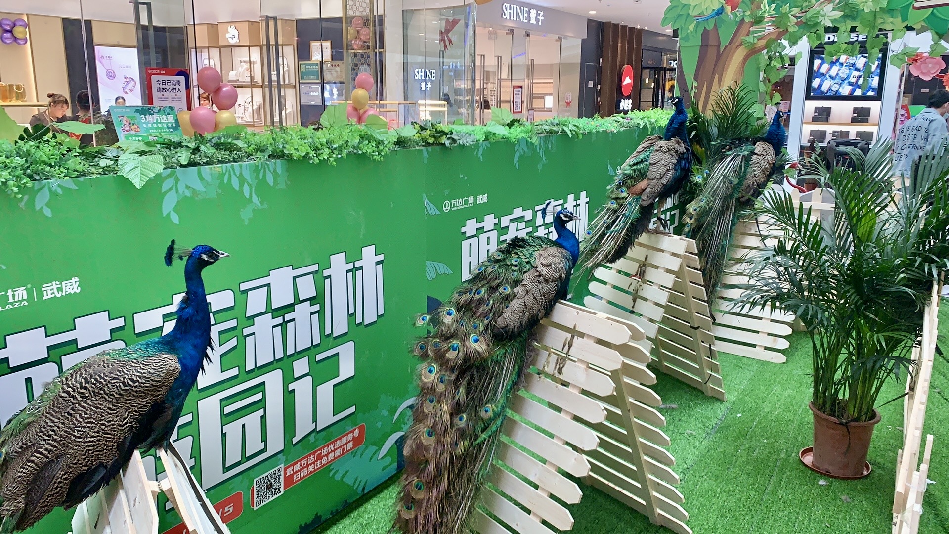 甘肃美道壹佰——萌宠展览