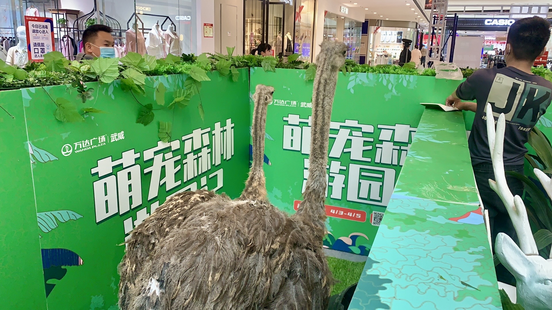 甘肃美道壹佰——萌宠展览