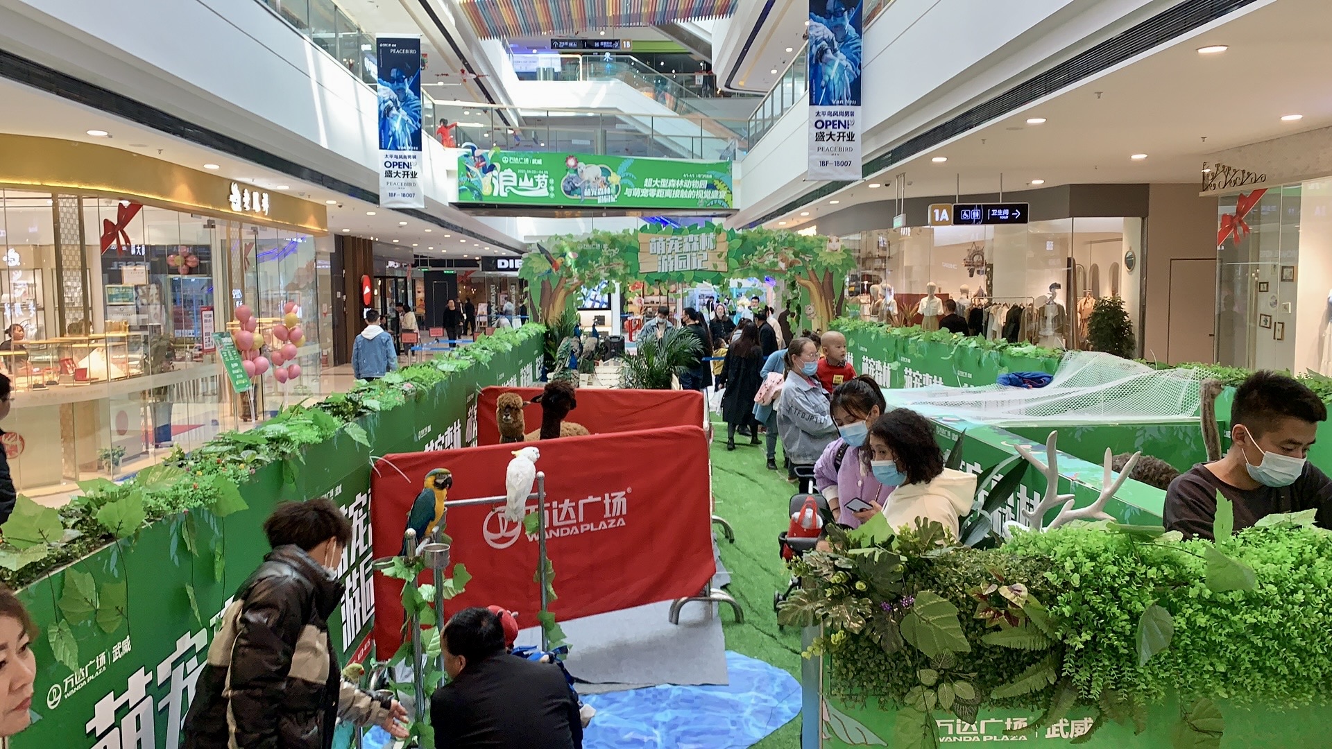 甘肃美道壹佰——萌宠展览