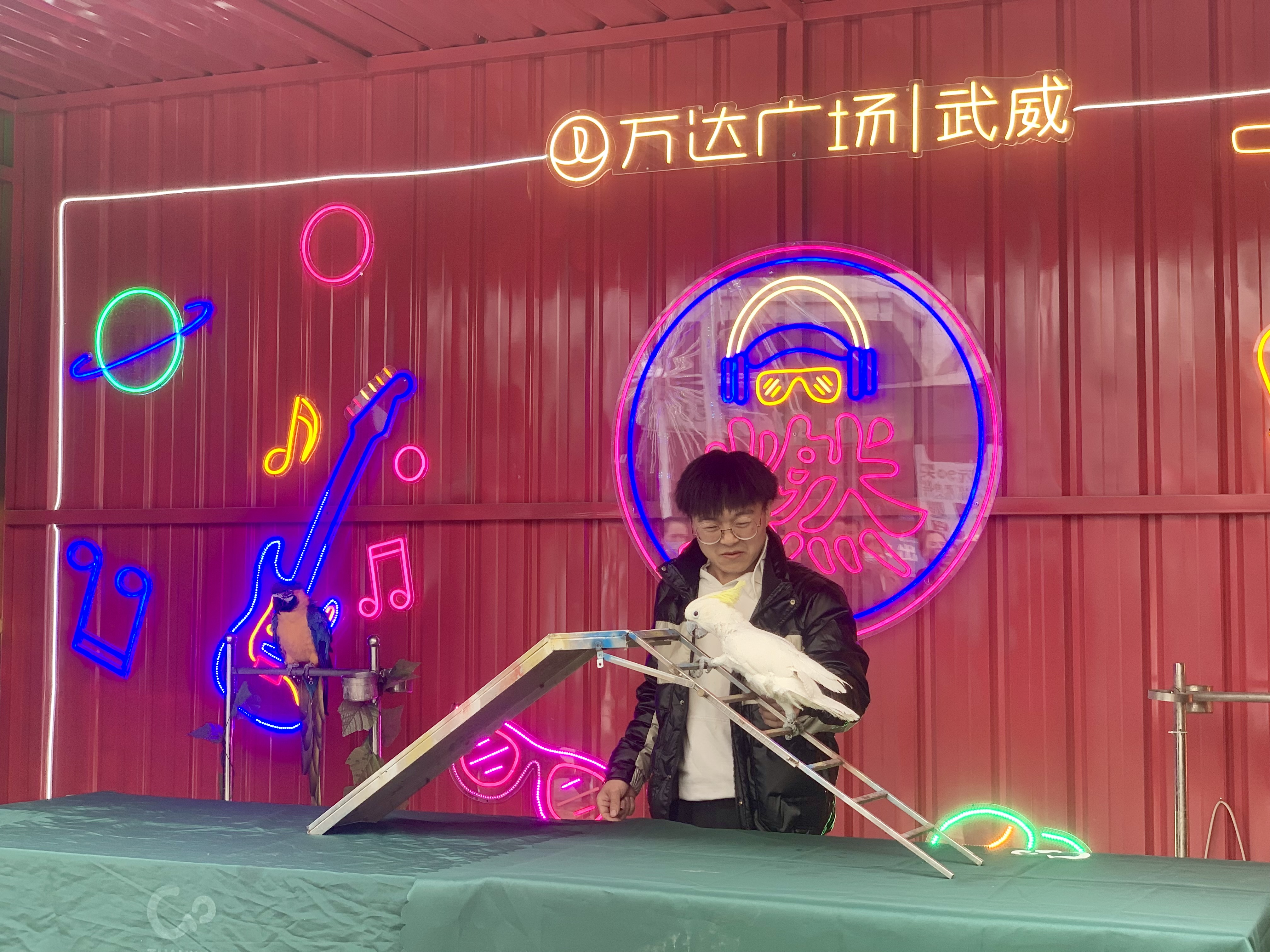 甘肃美道壹佰——萌宠展览