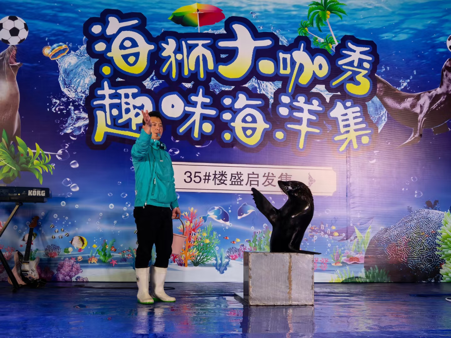 活体海狮表演出租 动物表演租赁 暖场互动
