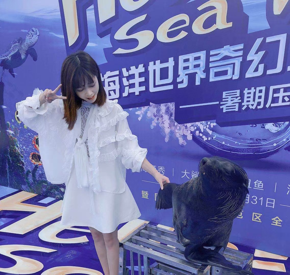 活体海狮表演出租 动物表演租赁 暖场互动