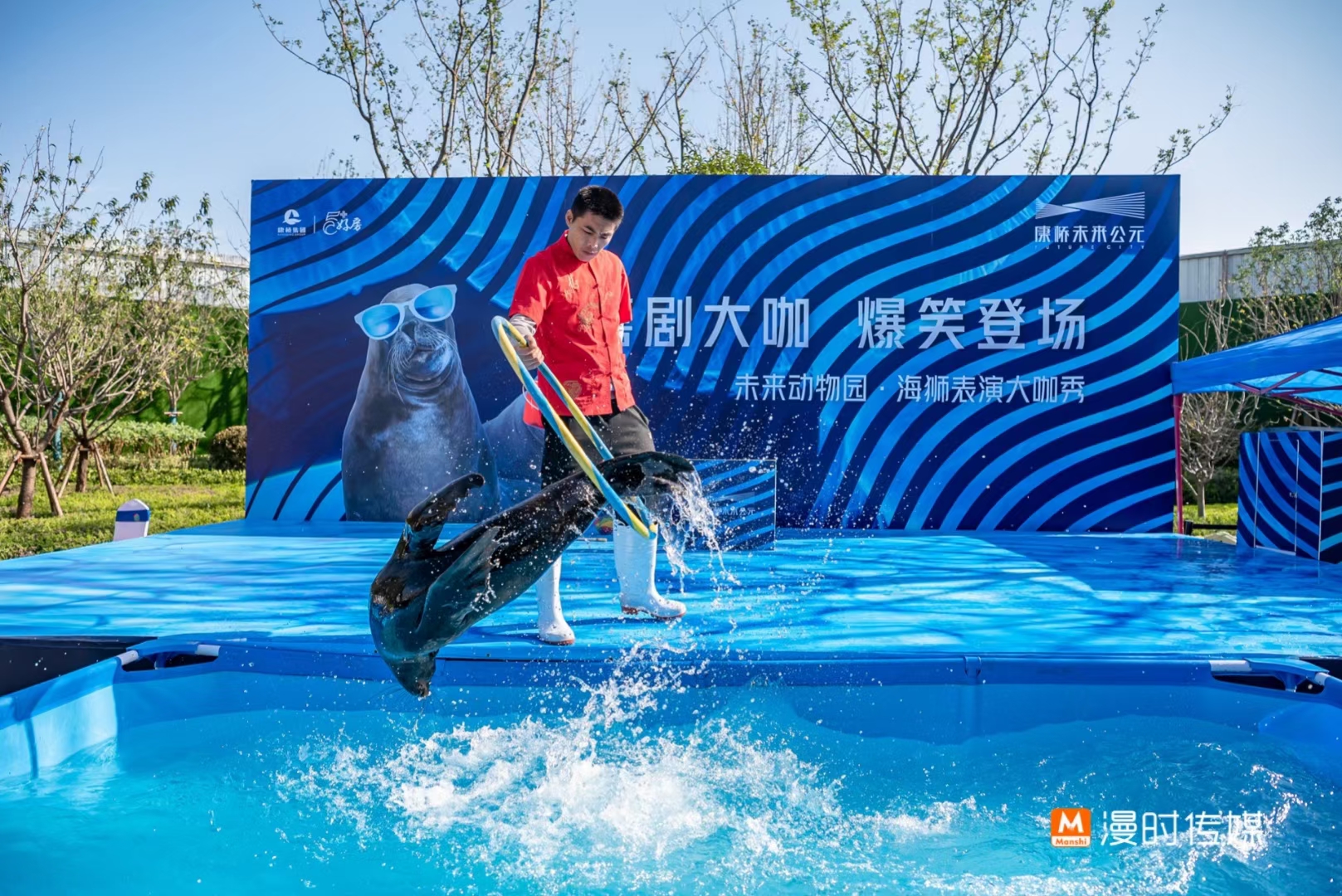 活体海狮表演出租 动物表演租赁 暖场互动