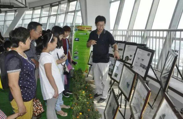 蝴蝶标本活体蝴蝶放飞 昆虫展昆虫标本整套供应