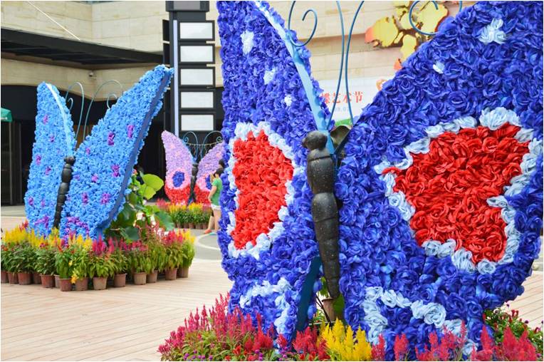 蝴蝶标本活体蝴蝶放飞 昆虫展昆虫标本整套供应