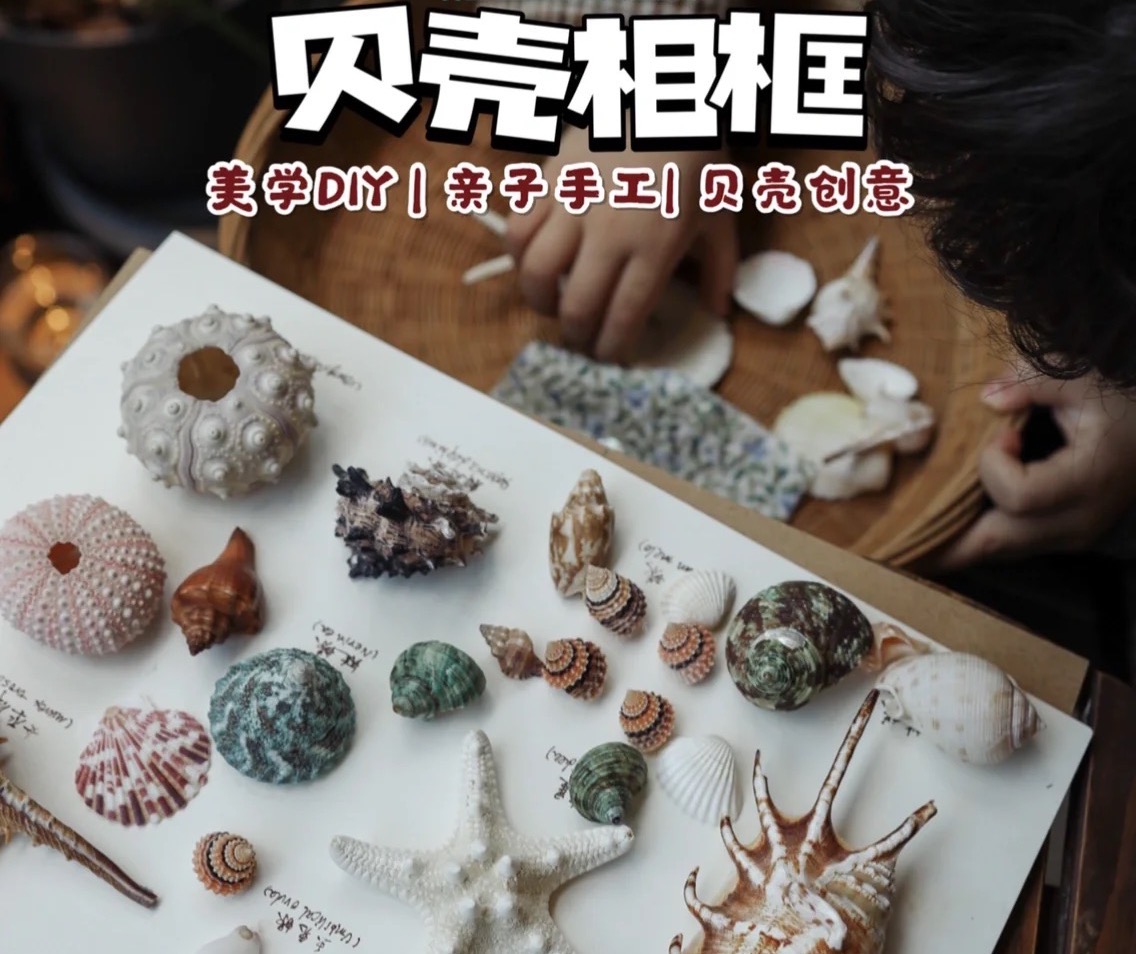 贝壳<font style="color: #FF8F00 !important;">相框</font>-暖场DIY