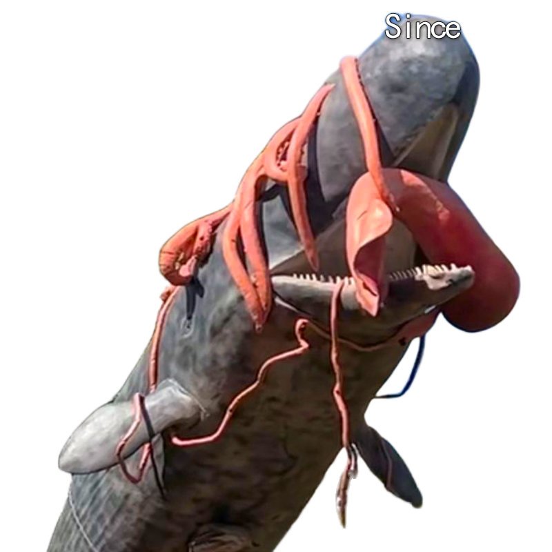 大号仿真海洋生物组合系列科普展览海洋馆