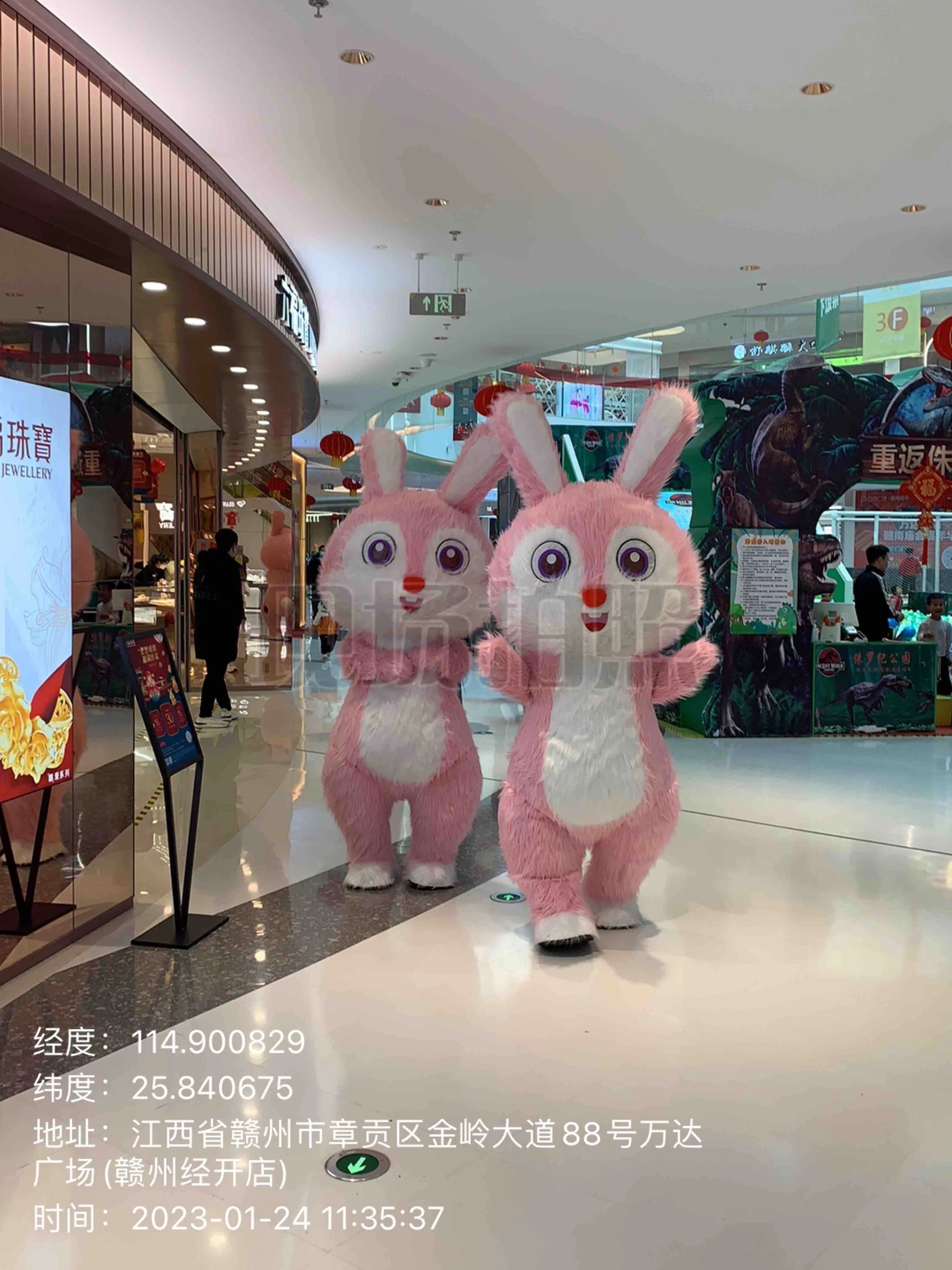 兔子人偶服