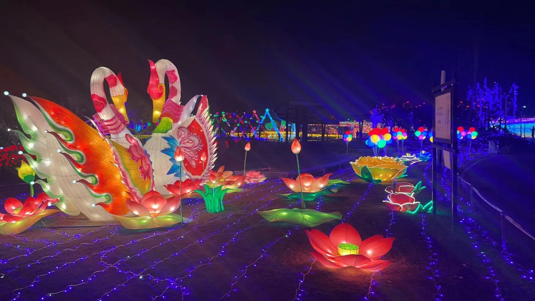 暖场灯光展一站式服务