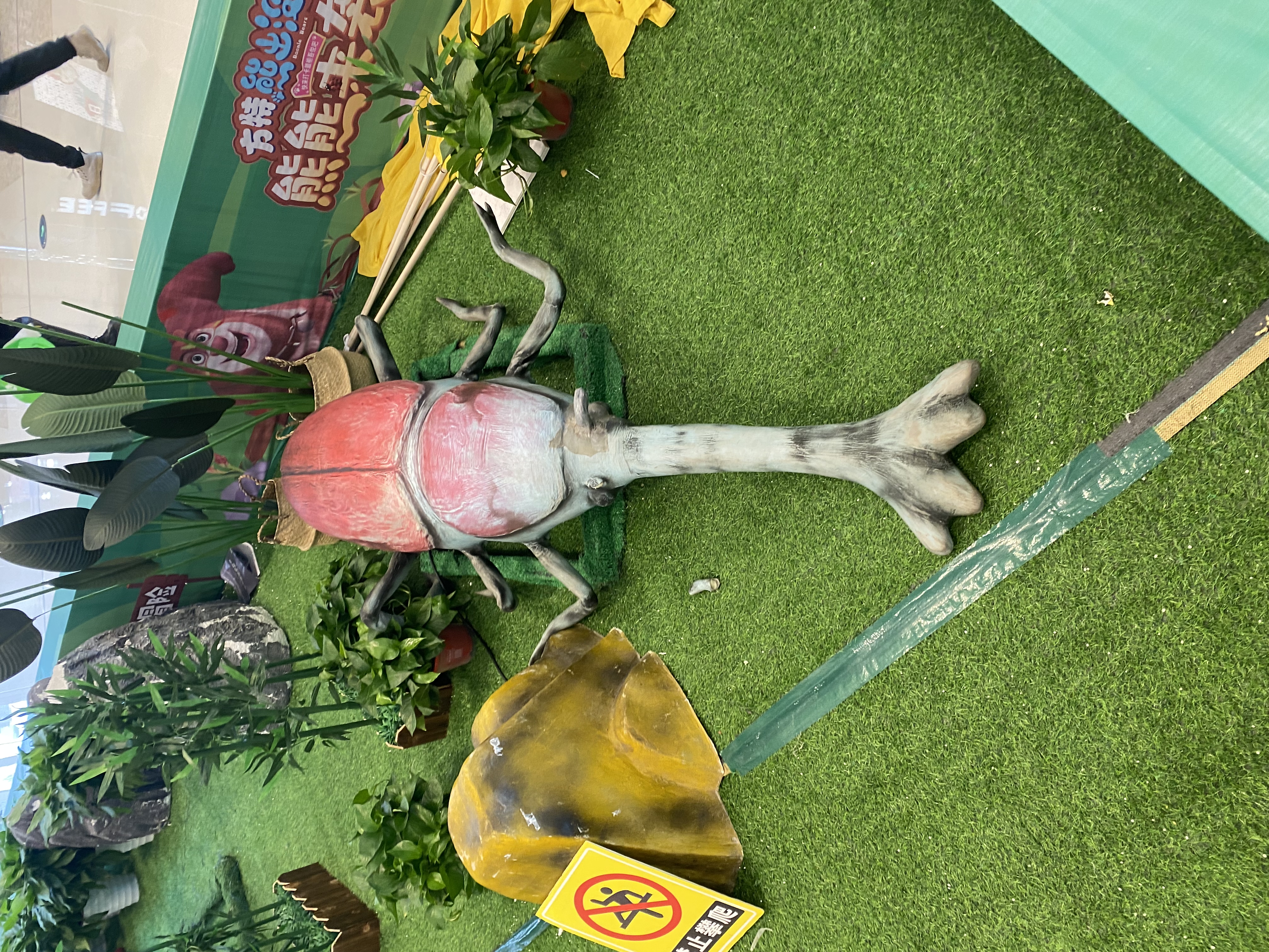 仿真昆虫展蝴蝶展览科普展出租亚马逊巨型昆虫会动会叫