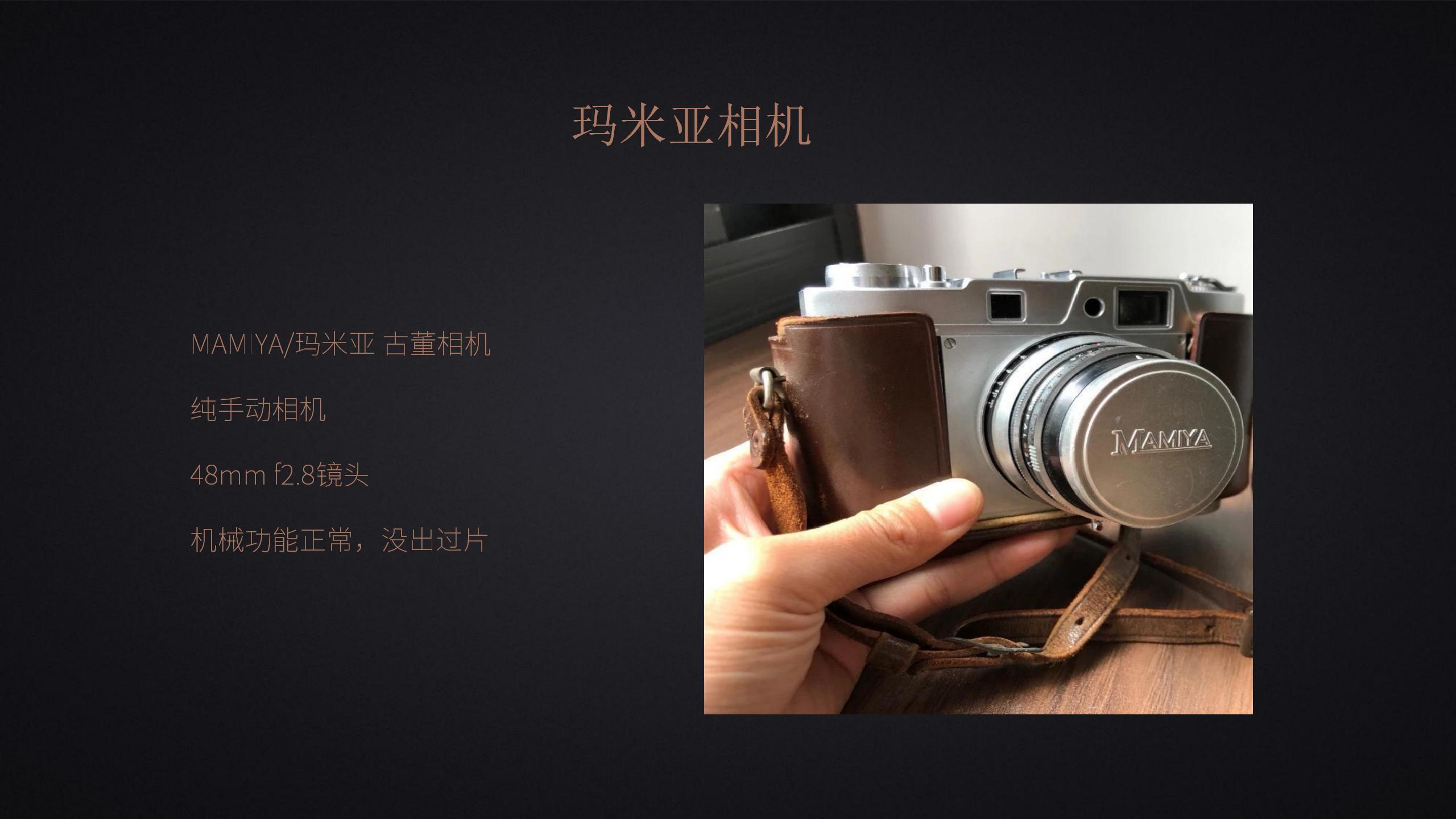 老相机展出