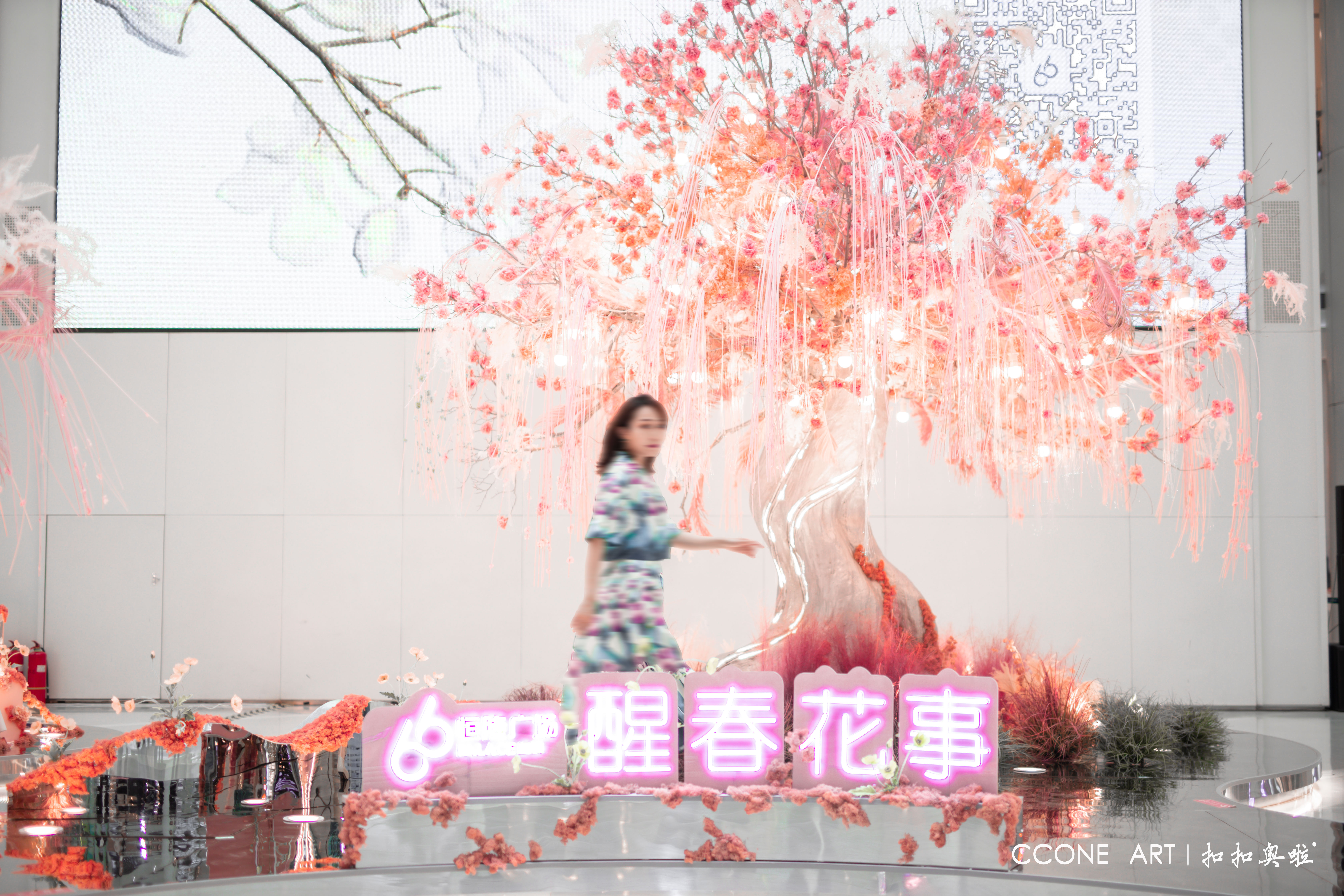 光影樱花