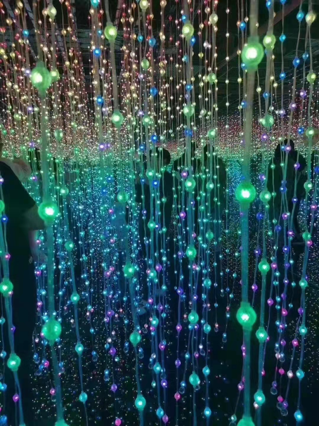 光影展/星空展/呼吸森林/镜花宫