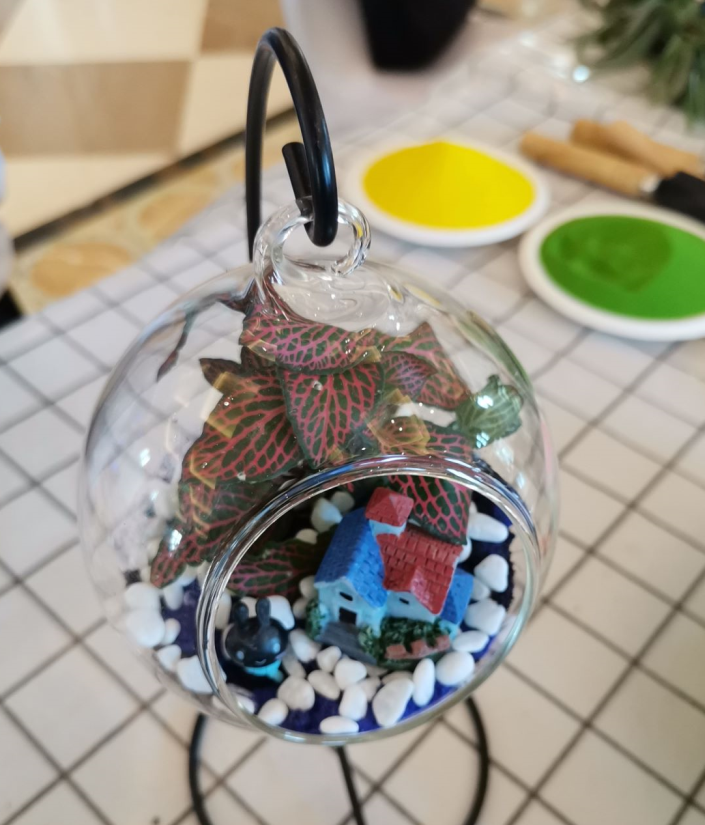 吊瓶微景观DIY
