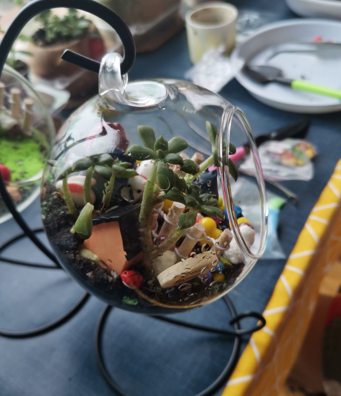 吊瓶微景观DIY