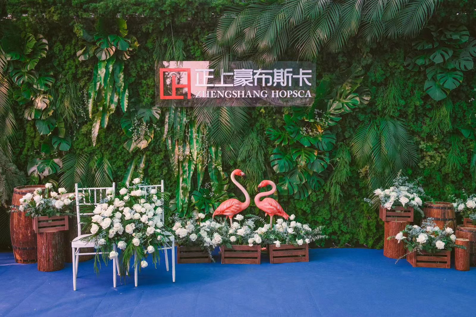 玖客文化活动执行