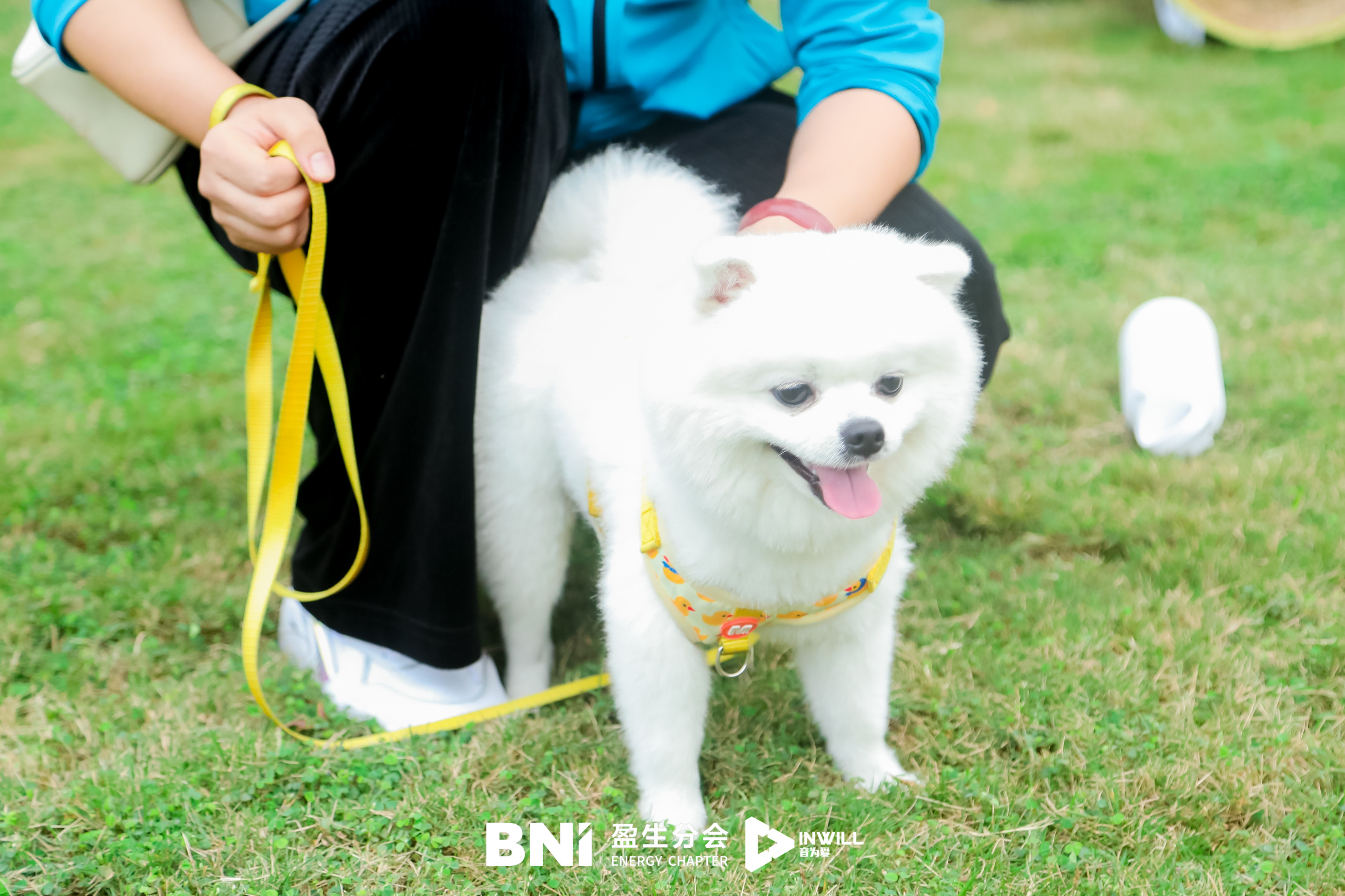 秋日趣野户外活动策划及落地执行——音为爱文化