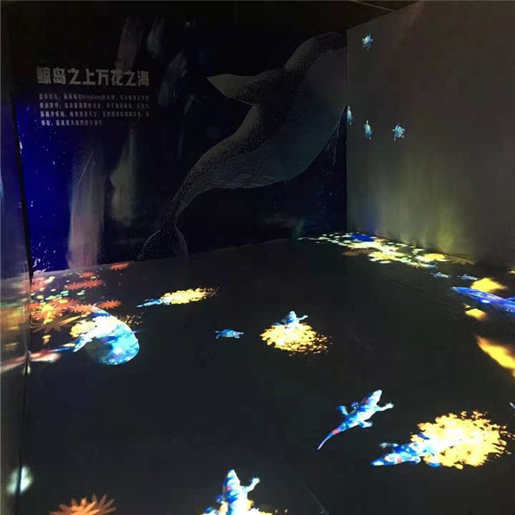 沉浸式投影互动梦幻鲸鱼岛出租