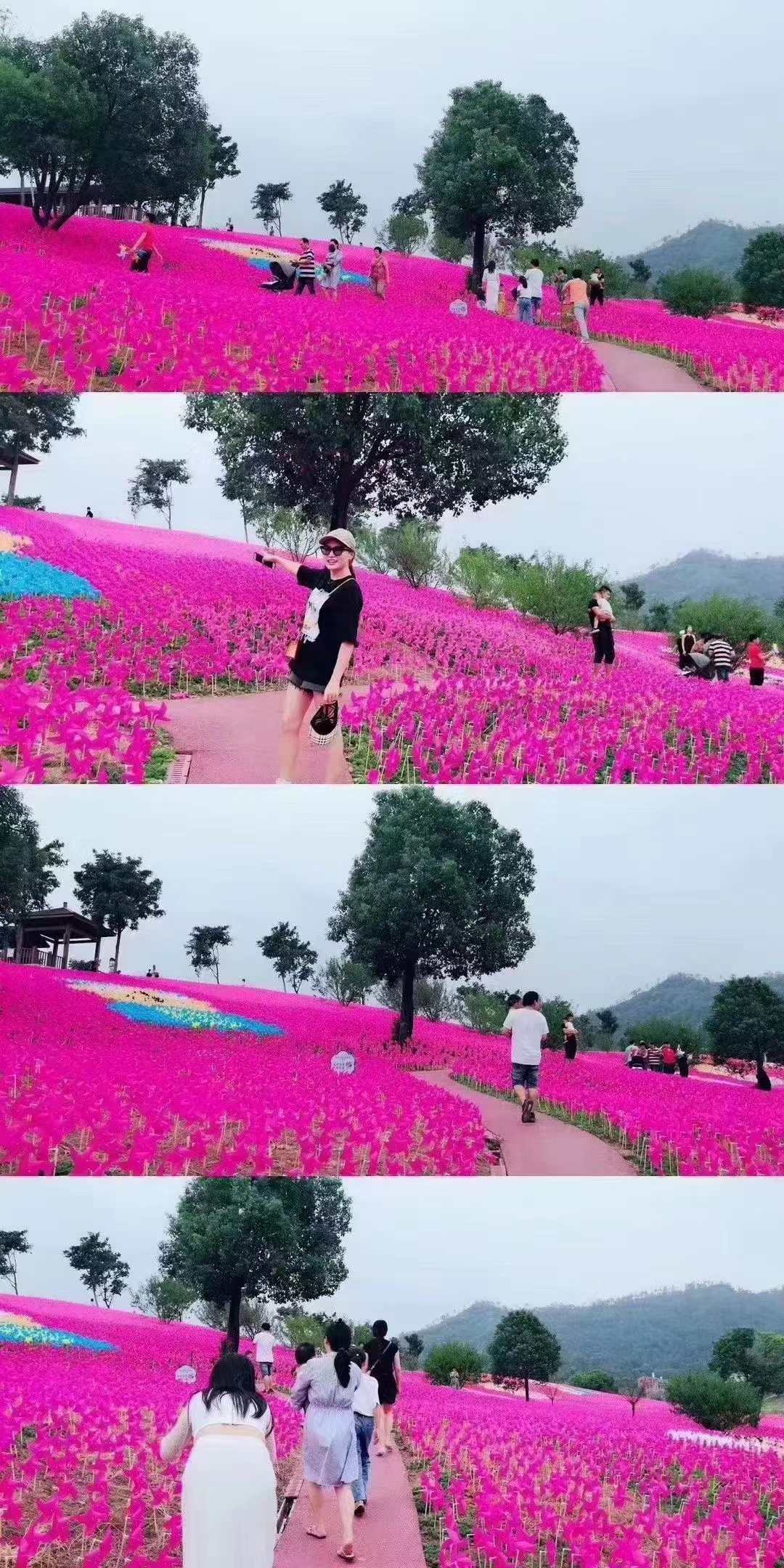 风车展一手资源