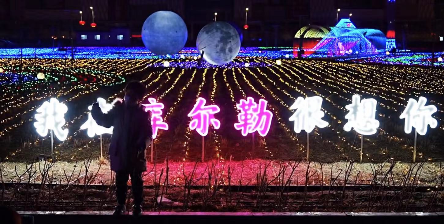 大型梦幻灯光节 主题特色灯光