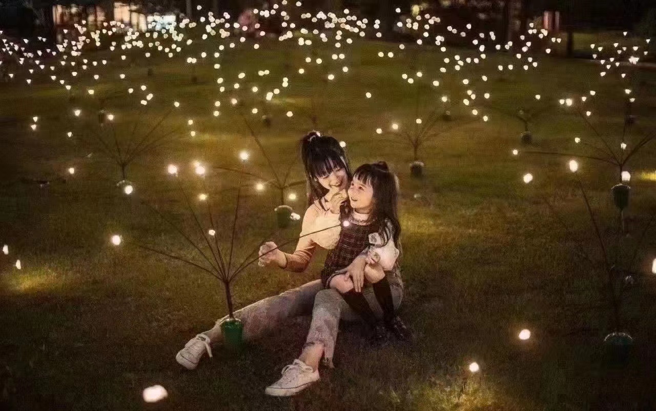 玫瑰花 郁金香 麦穗灯 萤火虫 等地插仿真花