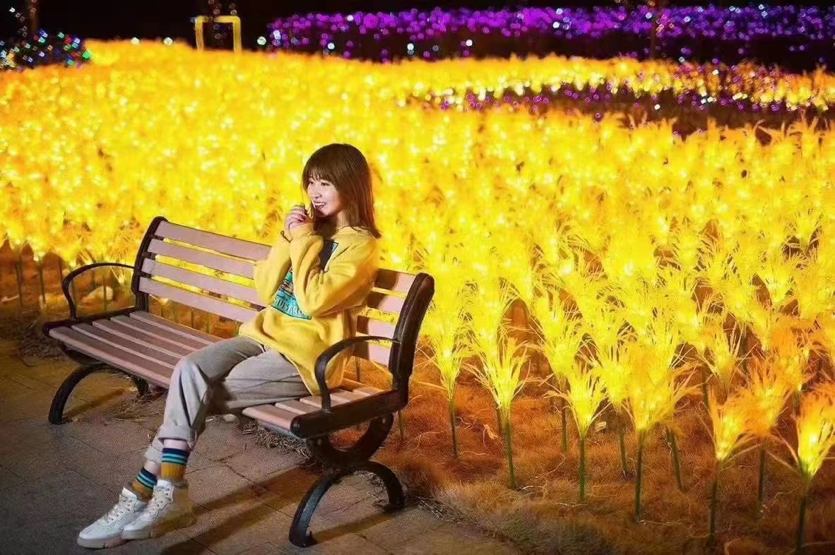 玫瑰花 郁金香 麦穗灯 萤火虫 等地插仿真花