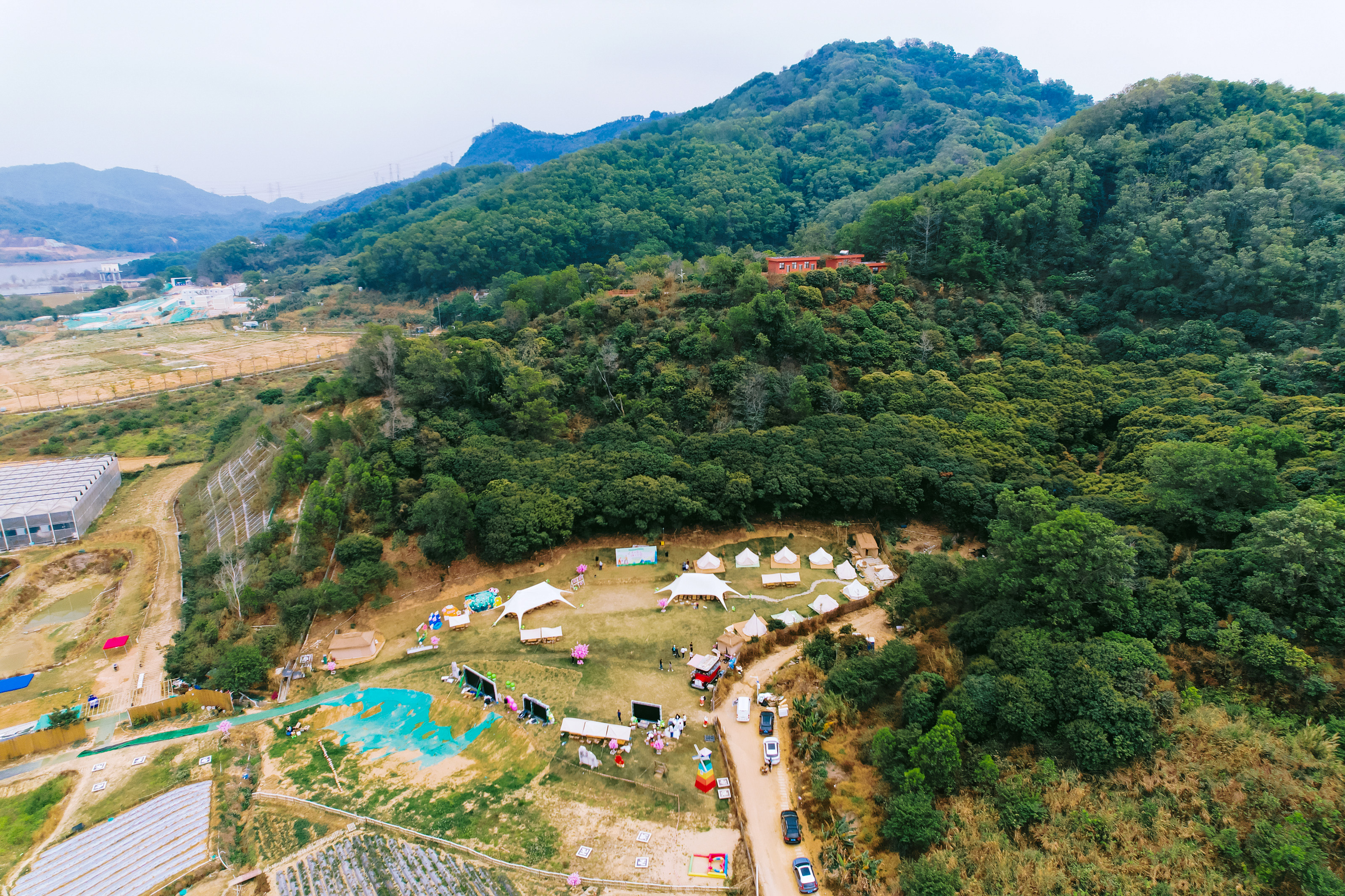 春游植树主题交友联谊活动策划执行
