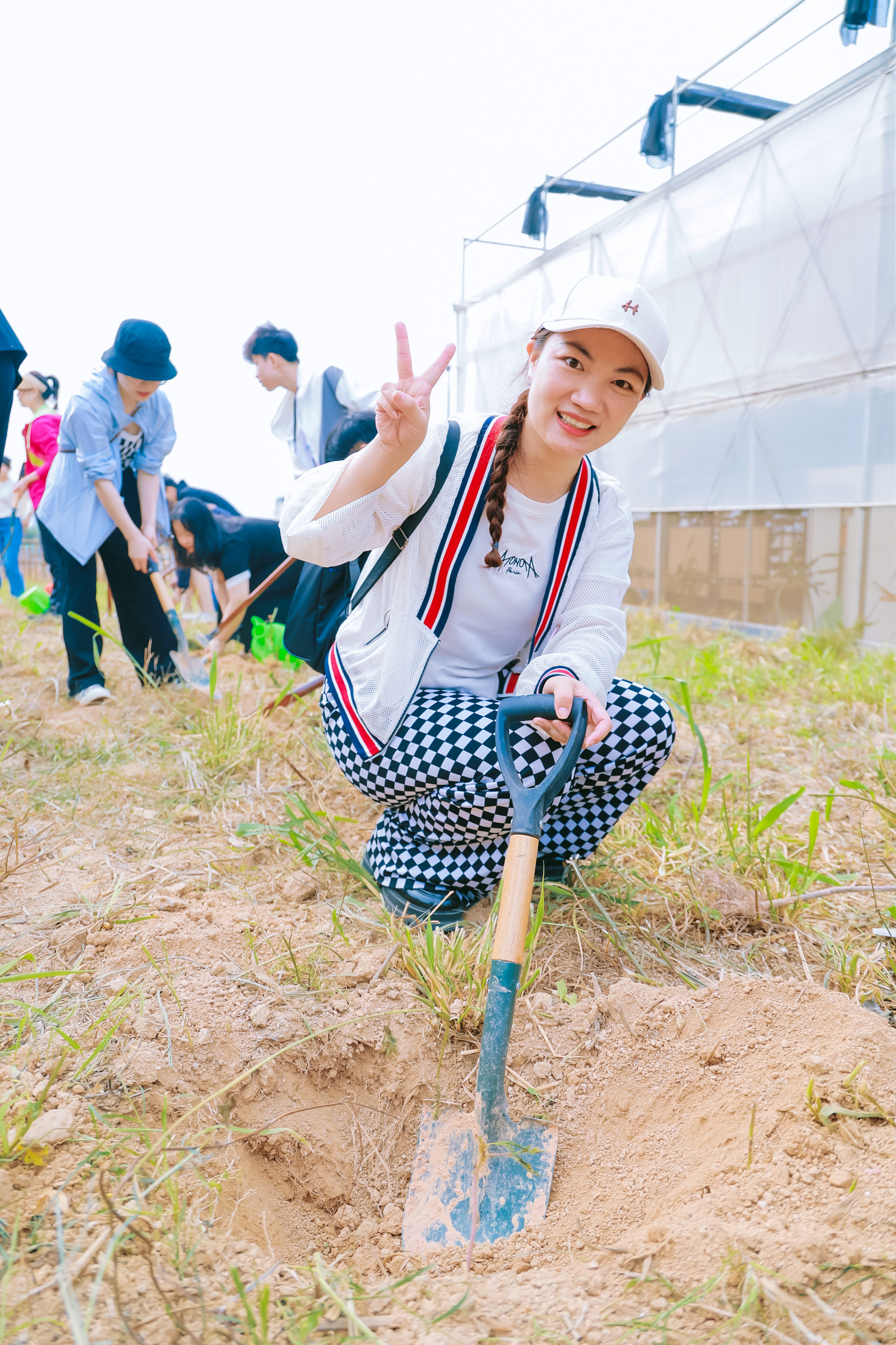 春游植树主题交友联谊活动策划执行