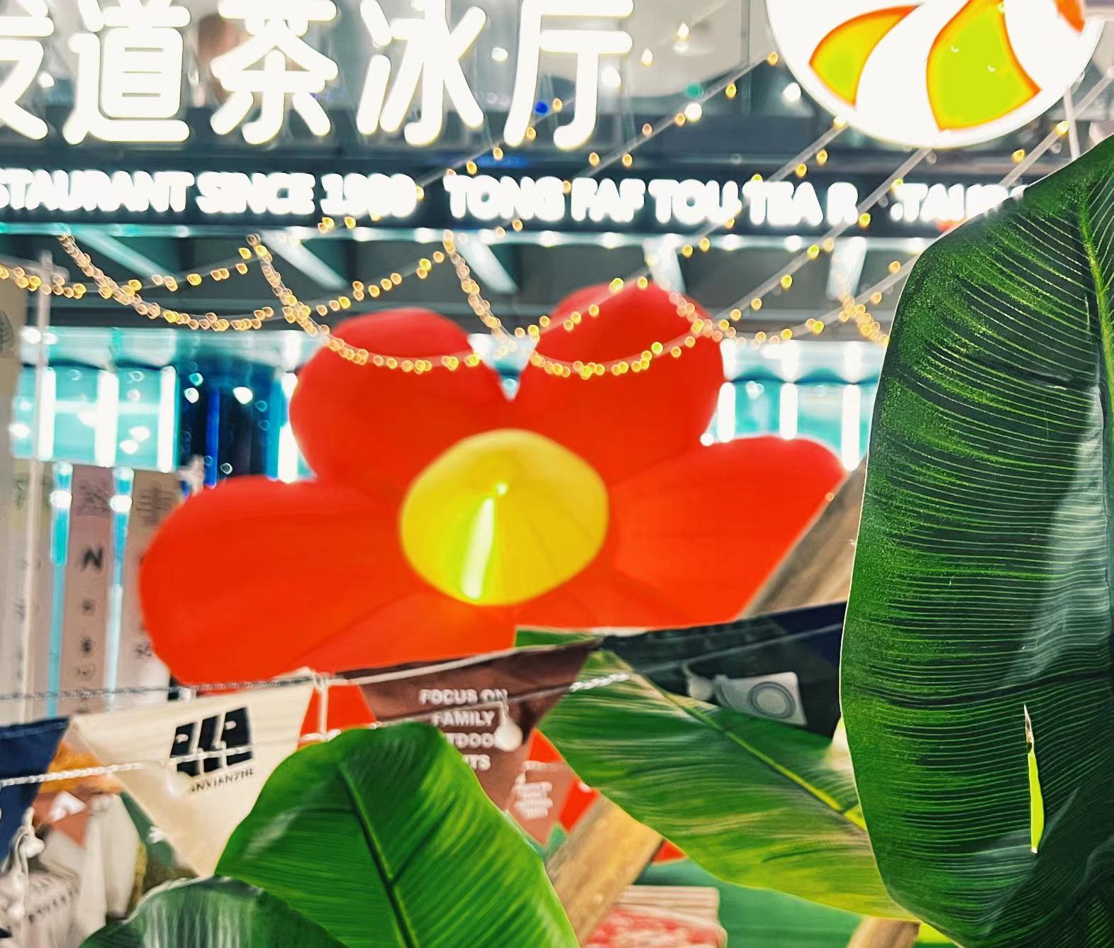 花花露营世界