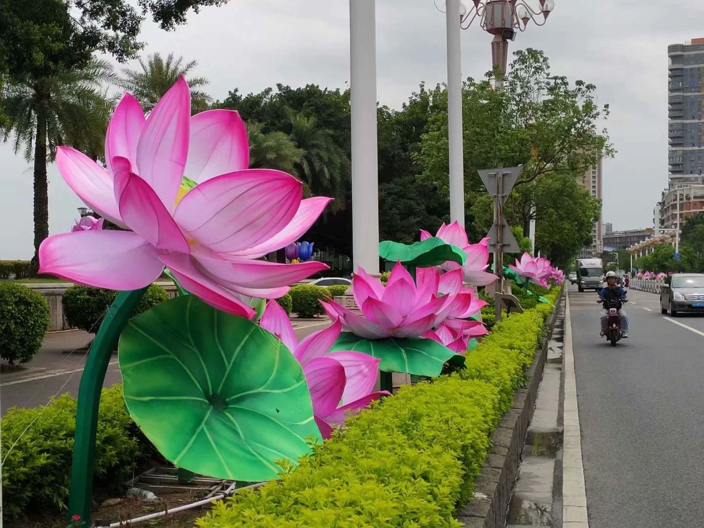 街道街区彩灯亮化