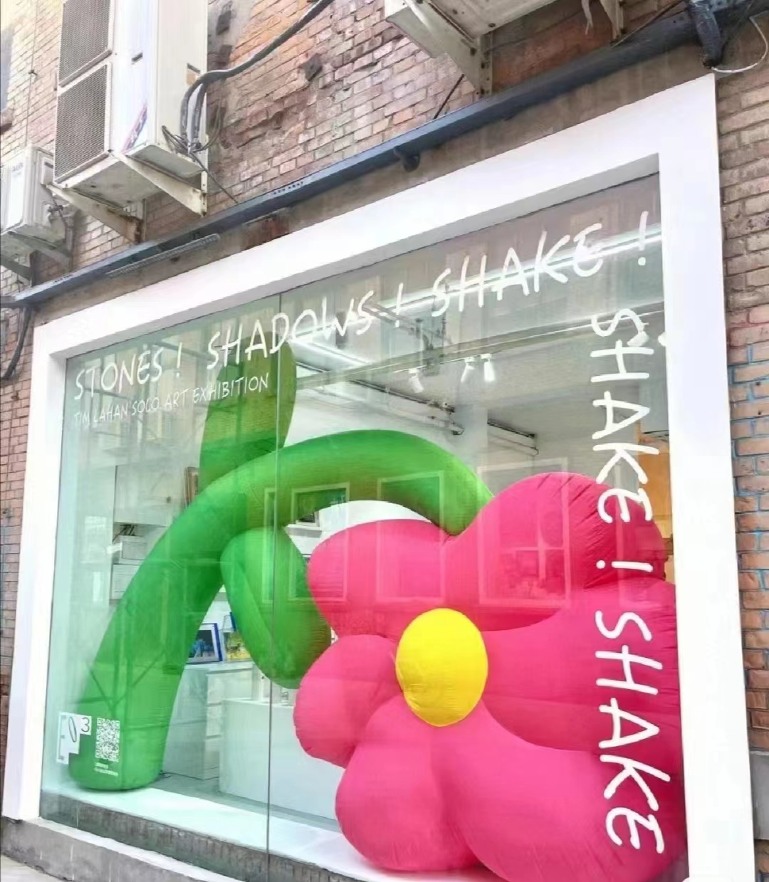 橱窗展示 IP