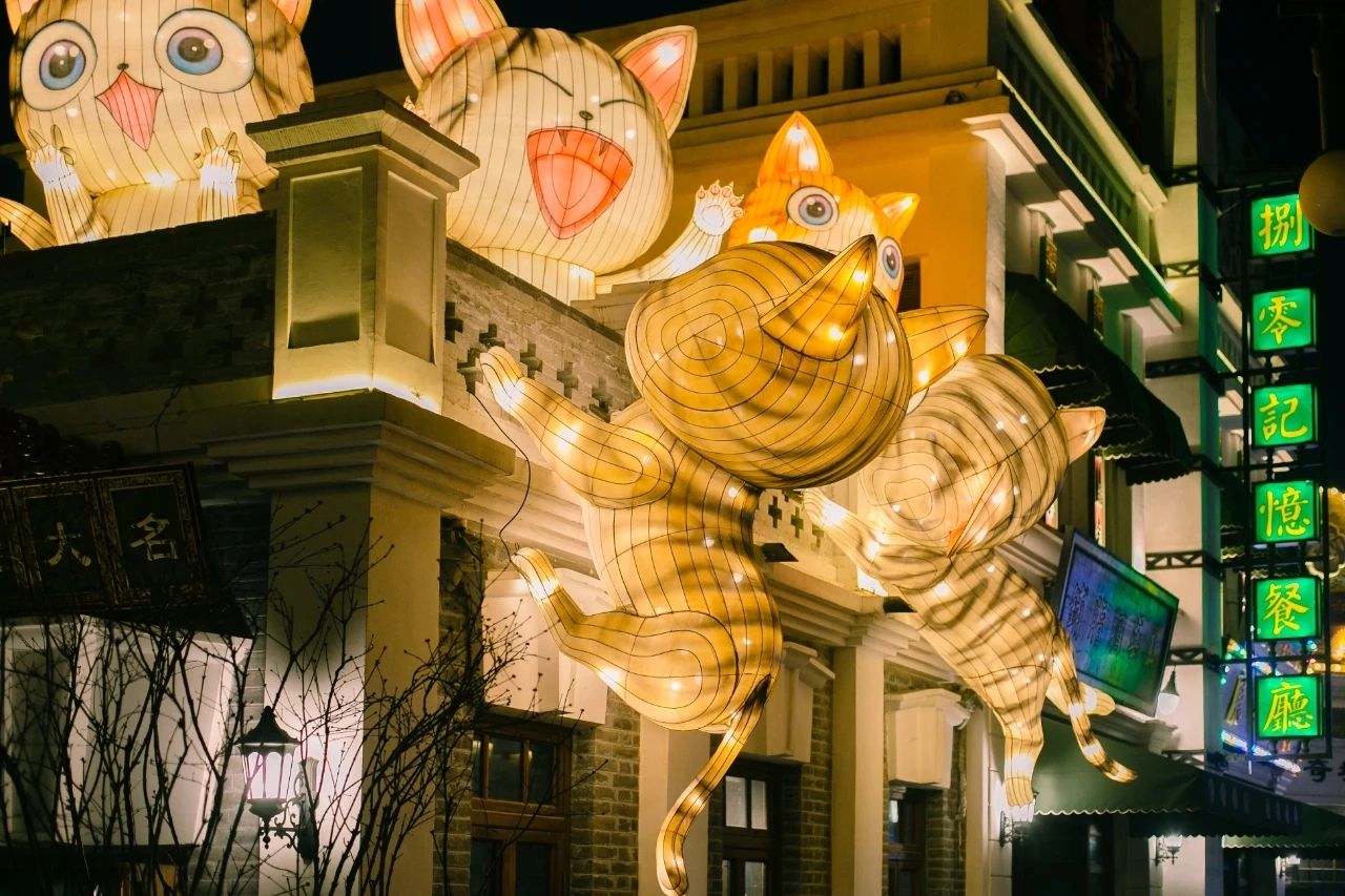 猫包围系列主题花灯